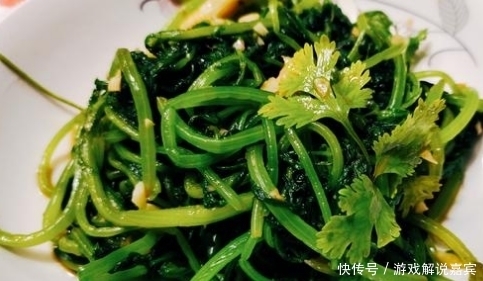 经济|三伏天,胃口不好,试试这四款经济实惠,清新爽口的凉拌菜吧