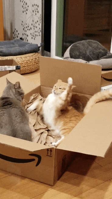 沙雕|“网购魔鬼辣椒，被辣成了乡巴佬卤蛋？”哈哈哈哈哈这也太沙雕了～