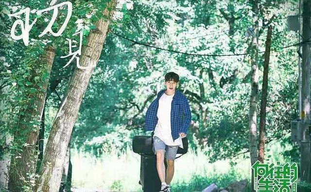  向往|《向往的生活》到底出了什么问题