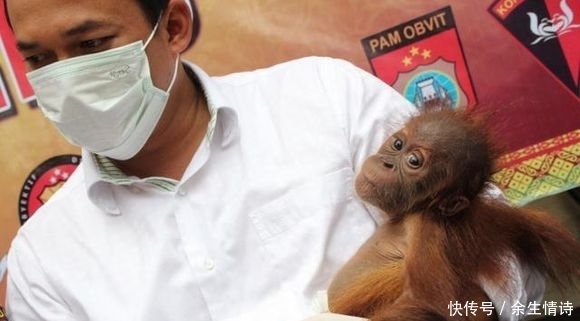  安检|男子过安检箱子里突然传出哭声，人们打开后看到的一幕令人心疼