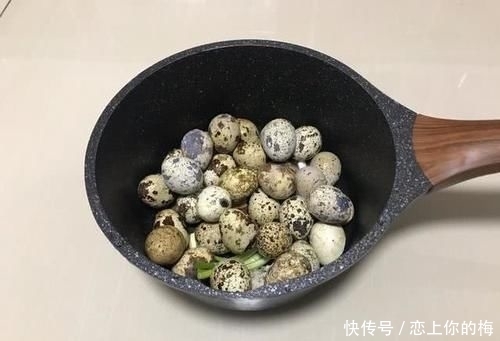 天天|它被称为动物中的“人参”,天天做给孩子吃,考学期间立大功