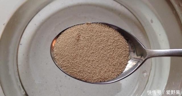 老面|超详细的酵母发酵过程,如何把握酵母粉的量,堪比老面发酵的味道
