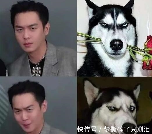  每日|每日一笑：这就是奥特曼下班后的生活吧