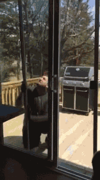 生活|搞笑GIF:在网吧多年,第一次看到这么懂得生活的少年