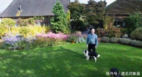 年来|英国老人退休后,把一生所爱献给这片荒地,25年来从不停歇