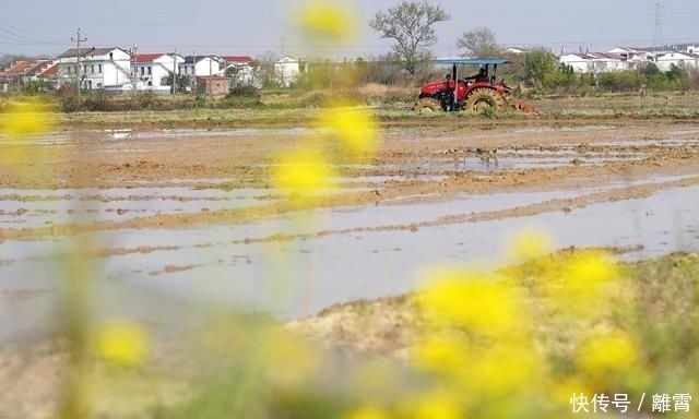 农民|春耕新事|网红、90后、海归……农业生产队伍多了“新农人”