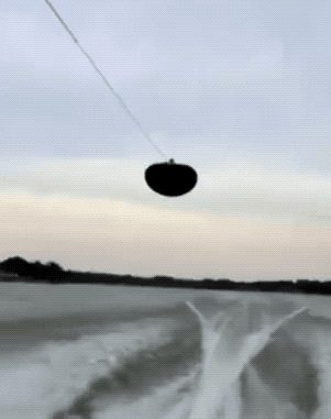 房间|搞笑GIF:家里有只大喵是什么感觉,都充满整个房间了