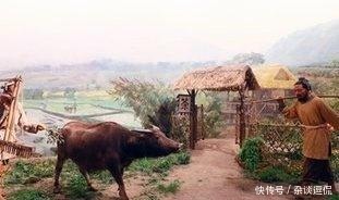 总缺|同样是乱世，战国7雄打了数百年都不缺粮食，为何诸葛亮却总缺？