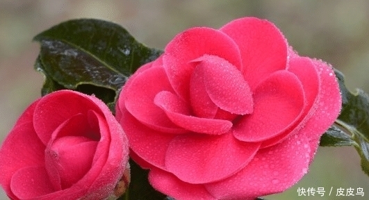  满堂|未来10天吉星高照，4属相好运接二连三，财运滚滚，满堂吉庆