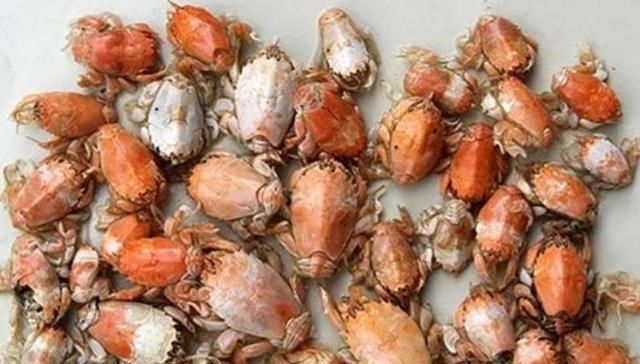 误认为|误认为是“虾”,花150块买了5斤回家,煮完一吃,老公说咱们赚了