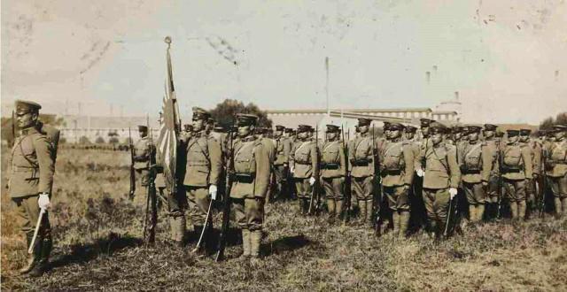 占据|敌军占据高点，团长听药农一身吆喝深受启发，直通山顶歼灭敌军