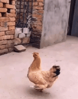  小姐姐|搞笑GIF：小姐姐，你能告诉我吗？你的身材怎么这么好啊！