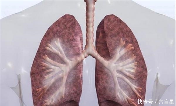 肝脏|肝脏是哑巴,有痛不会说!养肝秘诀,少碰3物,多做4件事,不会错