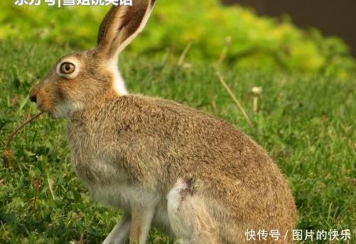  男子|公交车上，两男子对骂，旁边一个男的说了句话，被俩男子暴打