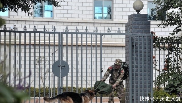  赚足|老兵退伍被军犬察觉，狗狗咬住包裹哀求他别走，场景赚足热泪