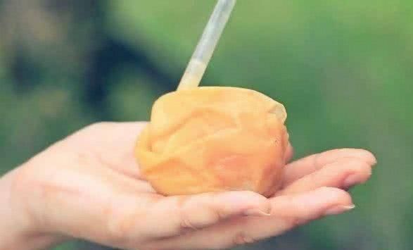 水果|5种能“吸”的水果吃过吗，我猜你只吃过椰子，图5是买了就上当