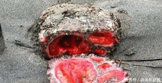  发生|地球上正在发生的15个奇异现象, 其实你一张都没见过