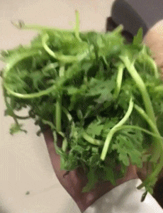 拿下|搞笑GIF:这馒头蒸的有水平,师傅,麻烦给我拿下最后一笼