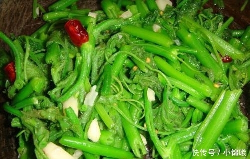 从不|碰到这菜我从不手软,1次买3把,识货的人都抢着买,调经又养血