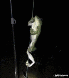 妹子|“妹子,你腰上的纹身真有个性,看得我脸红了”好一个出入平安啊哈哈哈