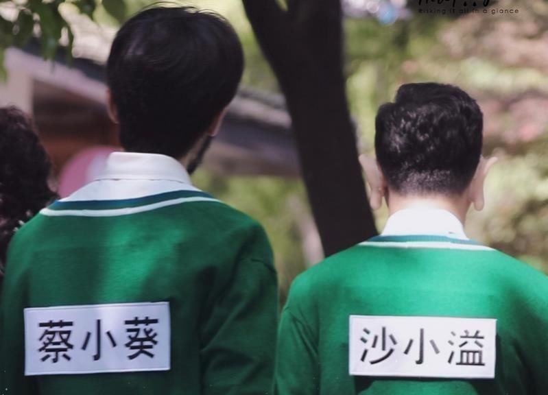  蔡徐坤|您的“蔡小葵”已上线，暖心为baby提裙子第一期的神秘嘉宾曝出