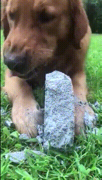  追求|搞笑GIF段子：我相信豪车美女是很多人此生毕生的追求！