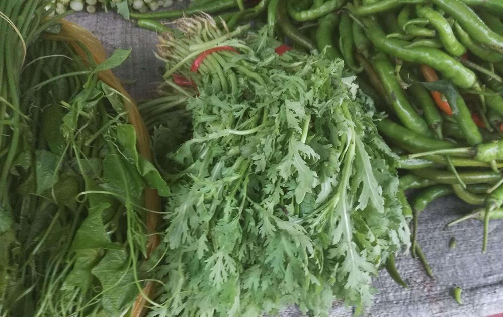 种植|在北方沦为野菜,在南方却大量种植,2元一斤,下火锅很好吃