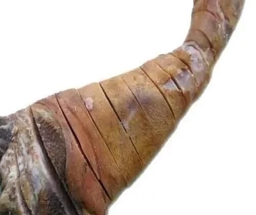 日本|日本人评出“不想不敢吃”的5大中国菜,在中国卖出“天价”