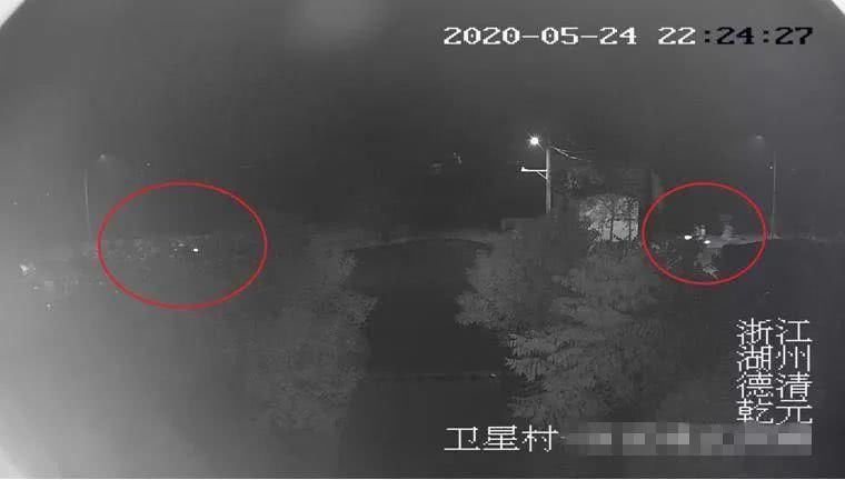 徐大爷|德清这几人因为一锅牛蛙被拘留六日监控曝光……