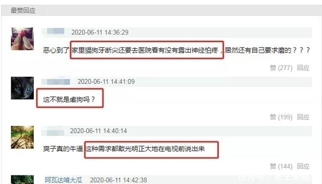 狗狗|郑爽要给宠物磨平牙齿,男嘉宾表情绷不住,网友直接吐槽虐狗