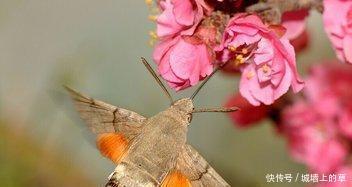 后裔|印第安人真的是中国人的后裔吗!