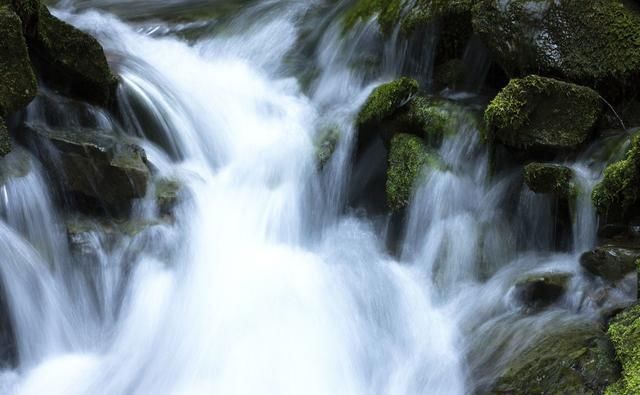  大奖|8月底到9月初，这三大生肖不仅有横财发，还有大奖中，必定享福不尽