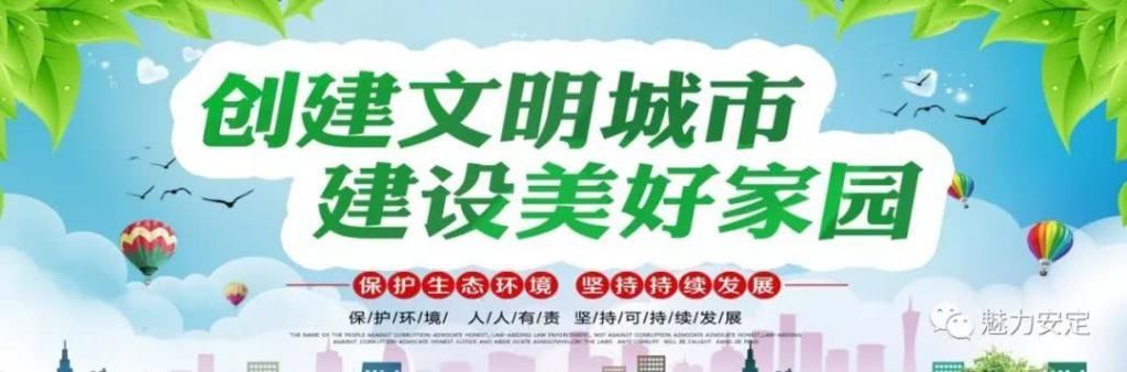 斑马线|【文明实践】这才是安定人正确的过马路方式
