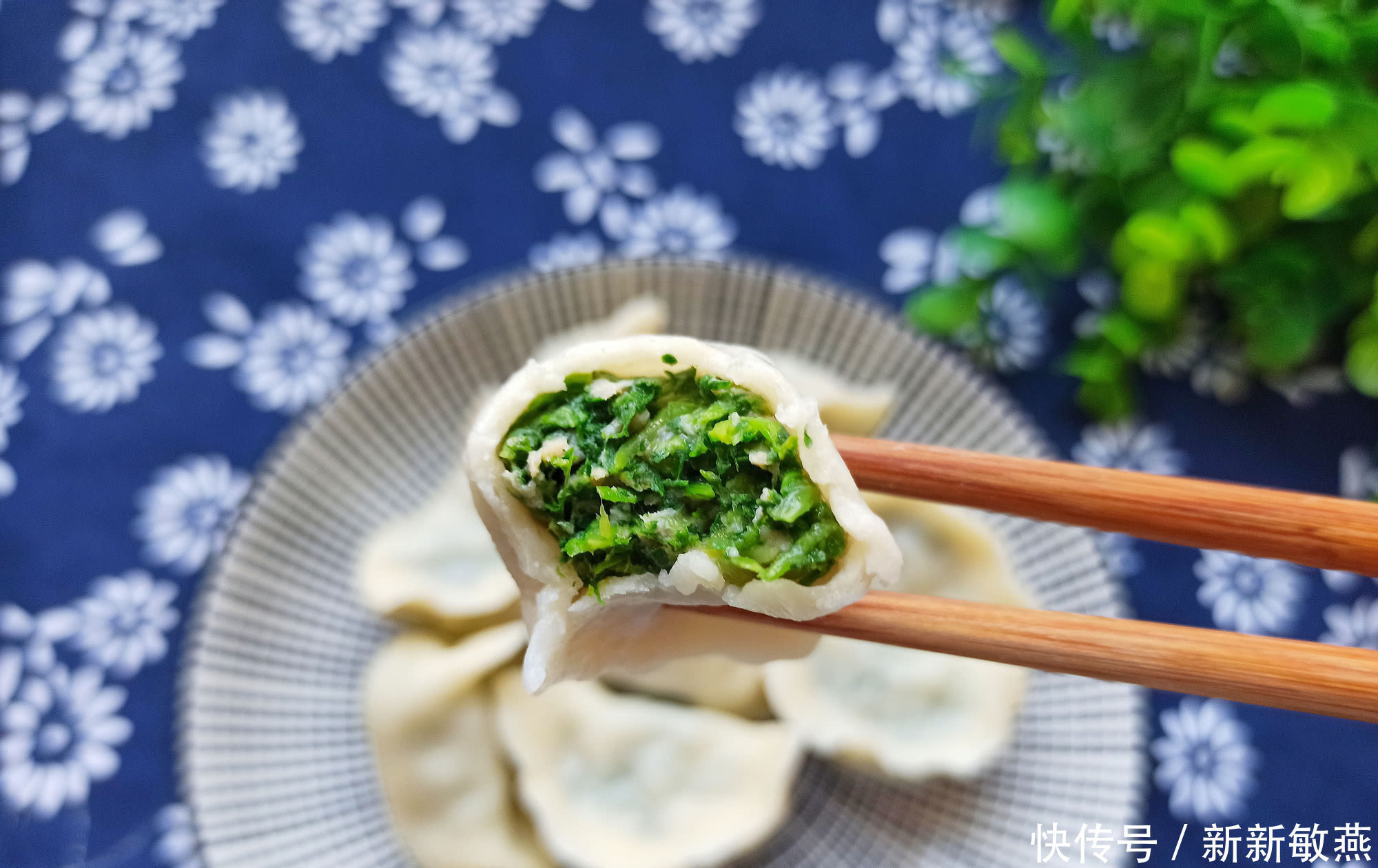  鲜嫩|春天的野菜我只认它，做成饺子馅真香，鲜嫩多汁，城里人很少吃过