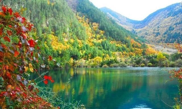 旅游|人间仙境的九寨沟美仑美奂,它的“另一面,”你又知道多少