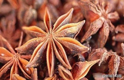 常见|二十种常见香料怎么用?一次性全告诉你!还有卤肉配方,值得收藏