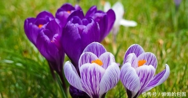 低层次|别去跟低层次的人争辩