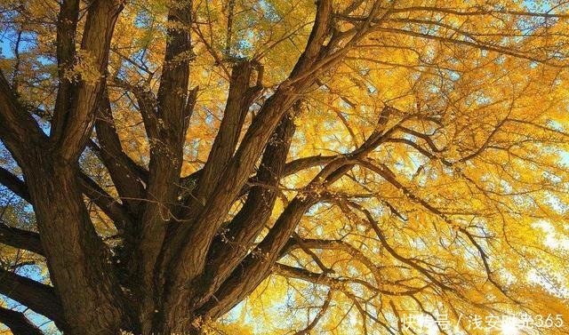 真准|喝一次酒,就看出一个人的性情!真准!(深度好文)