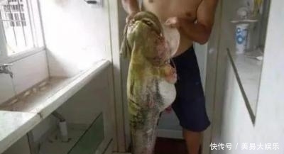 水怪|水库有条“水怪”，生吞水鸟爱吃羊肝，钓起来足有130多公分