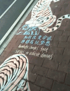  技术|搞笑GIF：这技术功底不是轻易练成的！