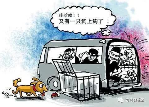 寻乌|为寻乌公安点赞粤赣警方破获盗狗案,抓获3人