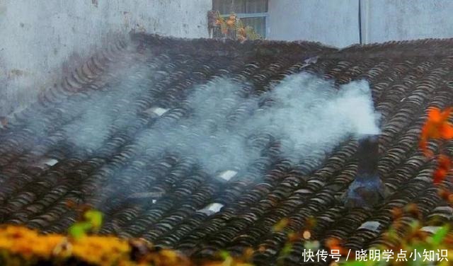 曝光|一个韩国男精英的独居生活曝光做一份蛋炒饭,6500万人围观