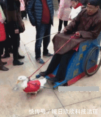  表白|“第一次进厂，怎么追黑衣服的这个女孩？”哈哈哈哈哈哈哈大胆表白