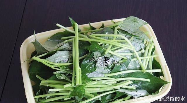  城里|这种叶子在乡下用来喂猪，在城里每斤6元，经常吃它皮肤变得柔软