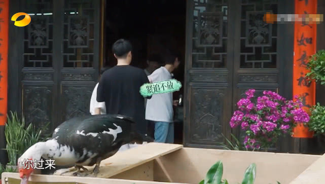  公开|《向往3》鹿晗和陈赫塑料兄弟公开互怼，但谁注意到这些细节！