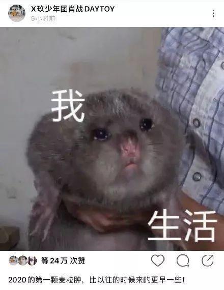  拍摄|肖战回重庆蹲路边吃早餐带火面馆，粉丝向老板求购肖战碗筷