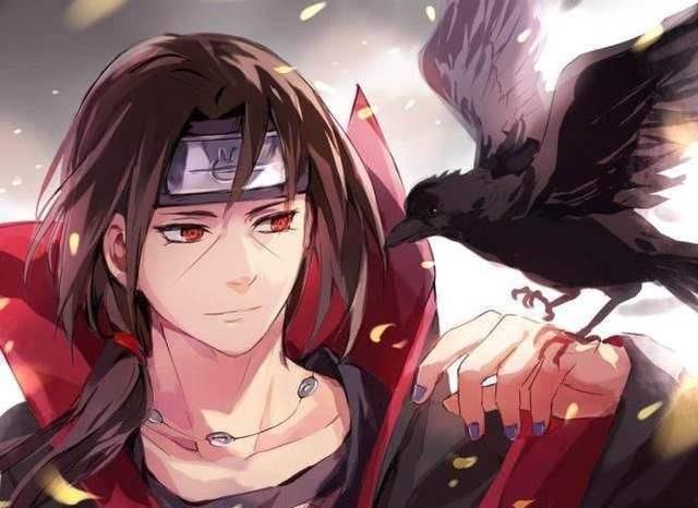  宇智波|火影忍者：宇智波鼬到底有多爱佐助，为了他不惜灭族