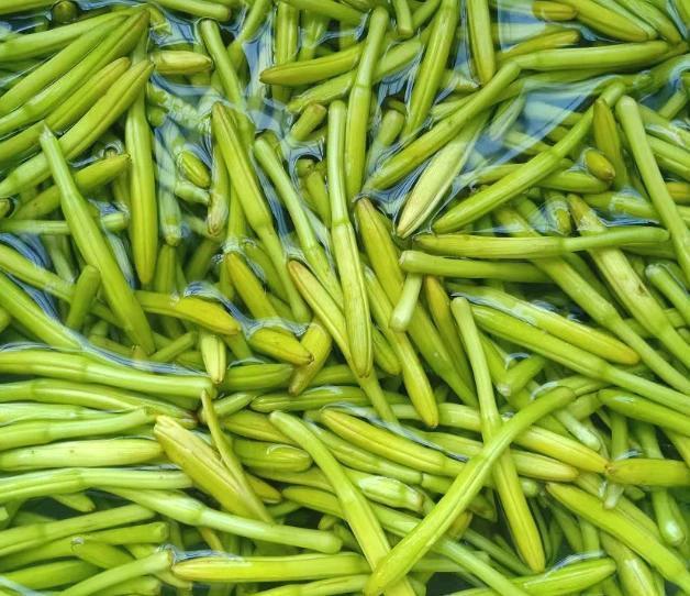 助于|女性30不想成“黄脸婆”,此菜要多吃,皮肤像冻龄,细腻又水灵