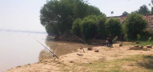 鲤鱼|黄河放生台,大鲤鱼蹦跶两下就被捞上来谁将放生变成杀生