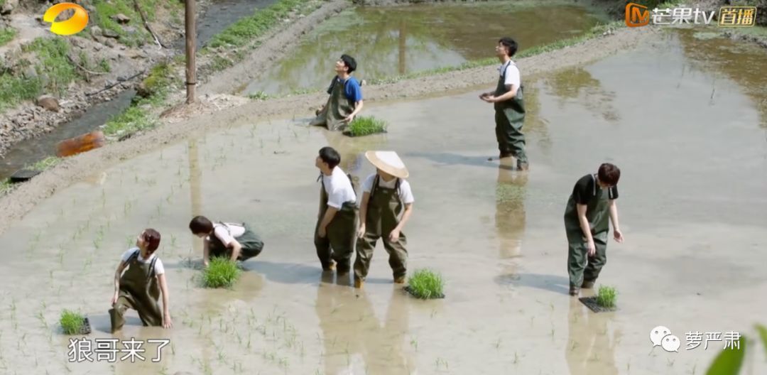 睡梦中|这类节目还没有被女星们拉黑吗水冲掉全脸妆、睡梦中拍摄……
